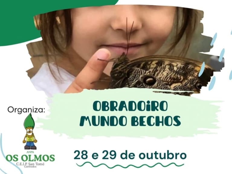 Mundo Bechos 2024