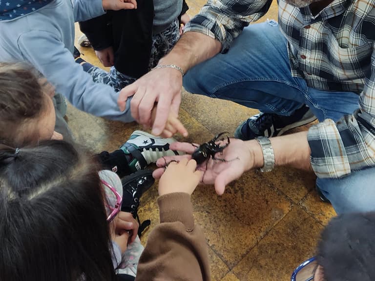 Mundobichos