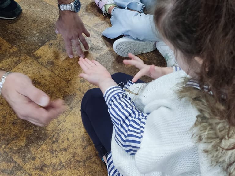 Mundobichos