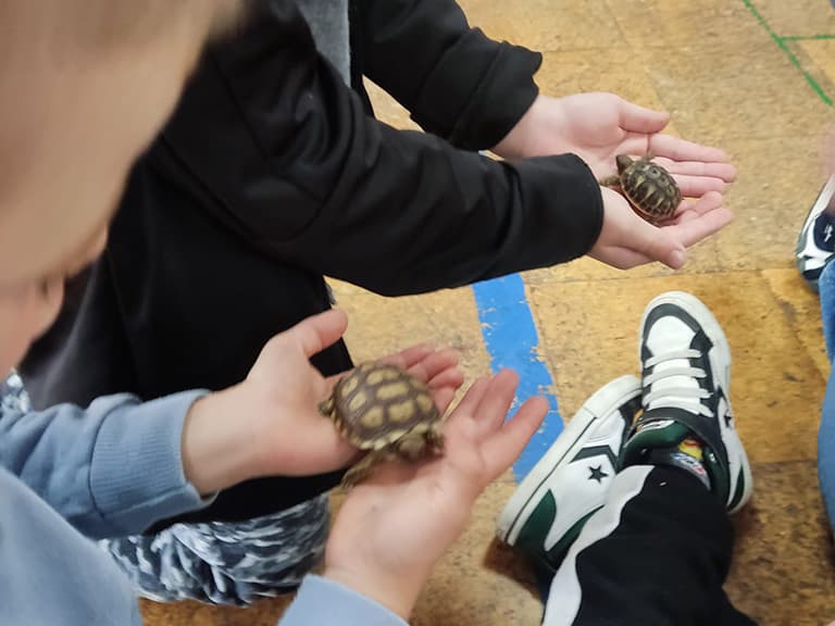 Mundobichos