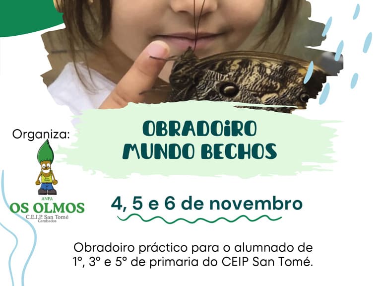 Obradoiro Mundo Bechos